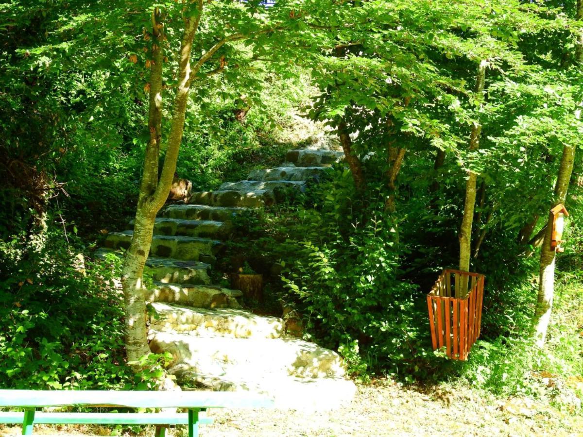 Private Accommodation Kalezic Mojkovac Dış mekan fotoğraf