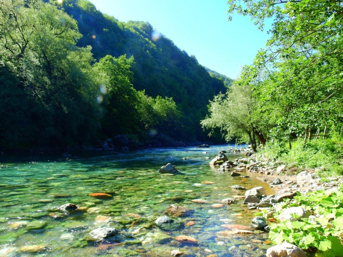Private Accommodation Kalezic Mojkovac Dış mekan fotoğraf
