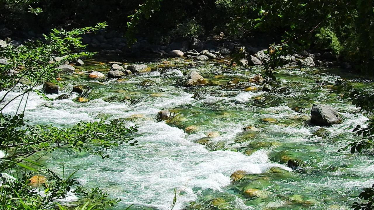 Private Accommodation Kalezic Mojkovac Dış mekan fotoğraf