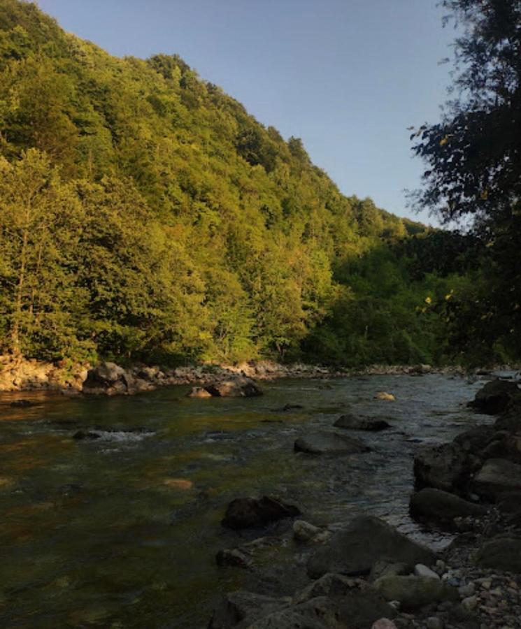 Private Accommodation Kalezic Mojkovac Dış mekan fotoğraf
