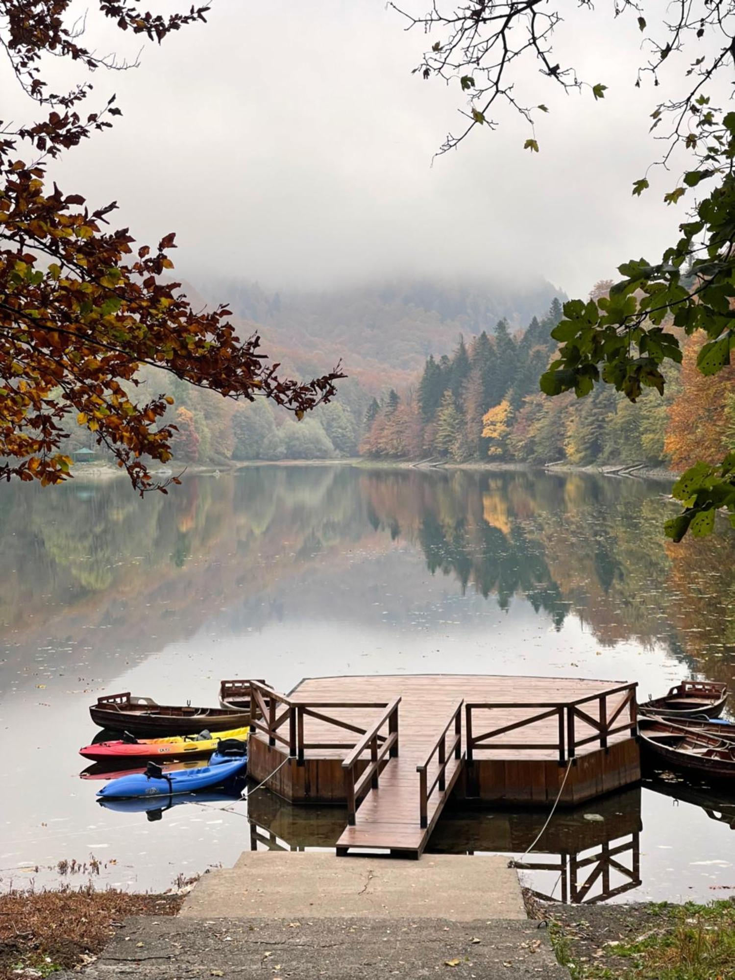 Private Accommodation Kalezic Mojkovac Dış mekan fotoğraf