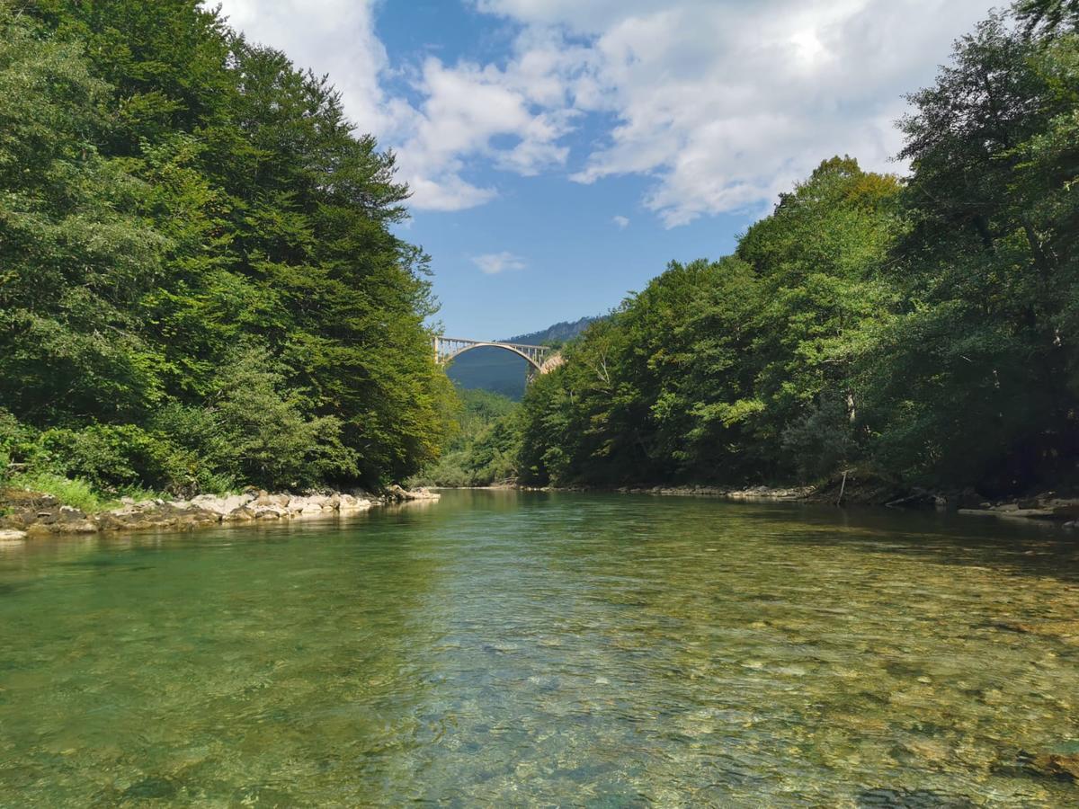 Private Accommodation Kalezic Mojkovac Dış mekan fotoğraf